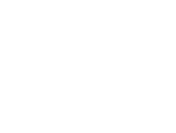 wrangler logo image
